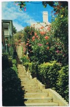 Postcard Floral Way Colorful Street St Thomas US Virgin Islands - £3.86 GBP