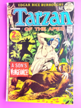 Tarzan Of The Apes #208 Vg(Lower Grade) Combine Shipping BX2434 G23 - £2.80 GBP