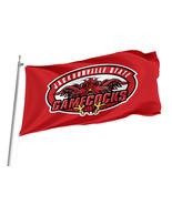 Jacksonville State Gamecocks  NCAAF Flag,Size -3x5Ft / 90x150cm, Garden ... - £23.36 GBP