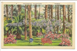 Vintage Florida Postcard 1939 Oriental Gardens, Jacksonville, Florida - £3.06 GBP