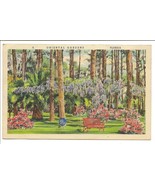 Vintage Florida Postcard 1939 Oriental Gardens, Jacksonville, Florida - $74.01 MXN
