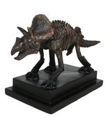 Faux Taxidermy Triceratops Dinosaur Fossil Figurine On Museum Display Ba... - $1,091.67 MXN
