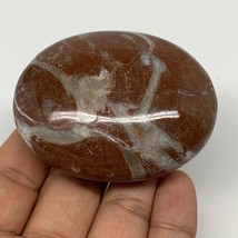 131g, 2.6&quot;x2&quot;x1&quot;, Natural Untreated Red Shell Fossils Oval Palms-tone, F... - $8.00
