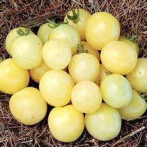 New Bellfarm Hot Sale White Tomato Seeds For Home Garden Bonsai Fruits Fresh See - £5.78 GBP