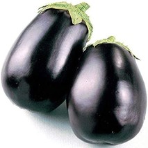 Black King F1 Hybrid Eggplant Seeds (25 Seed Package) - £3.82 GBP