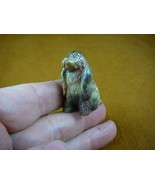 (Y-DOG-CS-563) COCKER SPANIEL dog JASPER  gemstone gem stone carving LOV... - $14.01