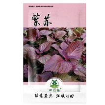 1000pcs Perilla Seeds KKaennip Gaennip Sesame Beefsteak Shiso Asian Seed - £7.25 GBP