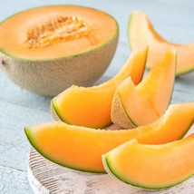 Cantaloupe Seeds Hales Best Variety Organic Fruit Seeds Seeds Variety Fr... - $55.54 MXN