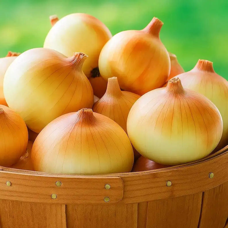 500 Candy Onion Seeds, Sweet Day-Neutral VarietyHigh Yield Bulbs, Easy t... - €11,11 EUR