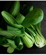 400 Pak Choi White Stem Cabbage Seeds-Non Gmo-Open Pollinated-Organic. F... - $4.00