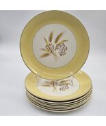 Century Service Alliance  Autumn Gold  8-Dinner Plates  Made In USA 1950's - $98.99