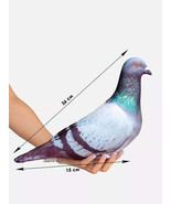Realistic Pigeon Antistress Stuffed Plushie Toy Plush Cute Doll Stuffed ... - $43.75 CAD