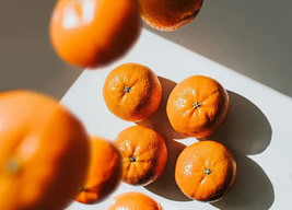 Fresh 5 Mandarin Orange Seeds for Garden - €6,88 EUR
