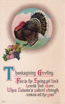 Thanksgiving Greeting Turkey Fair Is The Spring Yet Tired Hearts Postcar... - £2.38 GBP