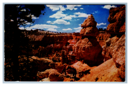 Saddle Horse Trail at Bryce Canyon National Park, Utah Postcard Unposted - £3.90 GBP