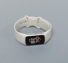 Fitbit Charge 6 GA05185-NA Fitness Tracker - Porcelain/Silver Large Band image 4
