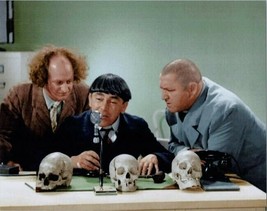 The Three Stooges 8x10 photo around desk with skulls on - £7.50 GBP