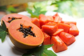 30 Papaya Melon Fruit Tree Carica Papaya Seeds - £7.46 GBP