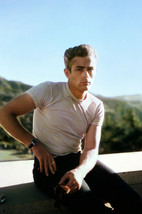 James Dean in Rebel Without a Cause in white t-shirt Griffith Park Obser... - £18.79 GBP