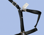 Billycookblackhalter thumb155 crop