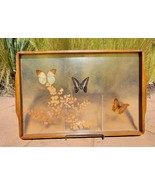 Vintage Butterfly Butterflies Wood &amp; Glass Serving Tray With Pressed Flo... - £33.01 GBP