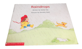 Raindrops By Sandy Gay Beginning Literacy Stage A Scholastic 1994 - £6.19 GBP