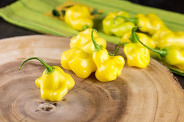 SKMO 25 Seeds Easy To Grow Aji Fantasy Chili Peppers Large Vegetable Edible Food - £6.87 GBP