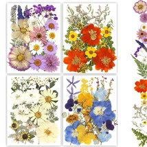 Buzidao Dried Pressed Flowers, 80Pcs Natural Pressed Flowers for Resin N... - $22.99
