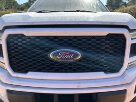 Grille Lariat Honeycomb Fits 18-20 FORD F150 PICKUP 104906052 - $727.65