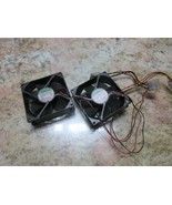 Sunon Lüfter Einheit KD1209PTB1 DC12V 1.9W Zp Clx H77017 Menge 2 Fans - $1,085.04 MXN
