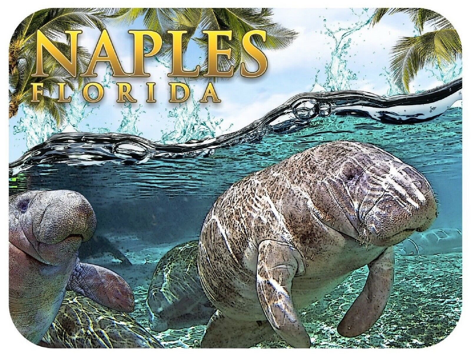 Naples Florida with Manatees Fridge Magnet - $6.84