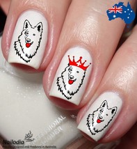 White Swiss Shepherd Berger Blanc Suisse Dog Nail Art Decal Sticker - £3.59 GBP