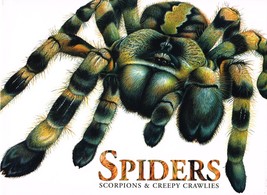 Spiders Scorpions &amp; Creepy Crawlies NEW BOOK - £8.47 GBP