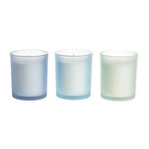 NEW Bee &amp; Willow Alpine Chamomile Scented Candle Set of 3 soy wax frosted glass - £12.00 GBP