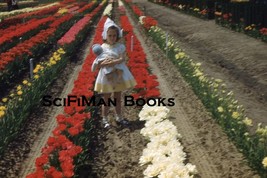 KODACHROME Red Border Slide Cute Little Girl Doll Dutch Tulips Flowers 1950s!!! - $2.96