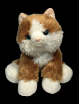 Aurora Kitten Cat Plush Bean Bag Orange White Ginger Stuffed Animal Soft Toy 8&quot; - $18.95