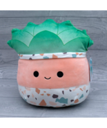 Squishmallow Abena The Succulent! 10&quot; - tag is sticky - $29.78 CAD