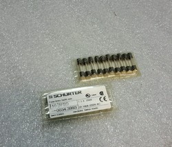 SCHURTER 0034.3993 FUSE LINKS 5X20MM 100A/250V (20 QTY) NEW $69 - $51.37