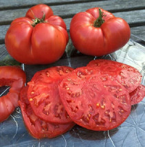 PPA 50 Seeds Giant Belgium Tomato Heirloom Tomatoes Juicy Vegetable Garden - £3.75 GBP