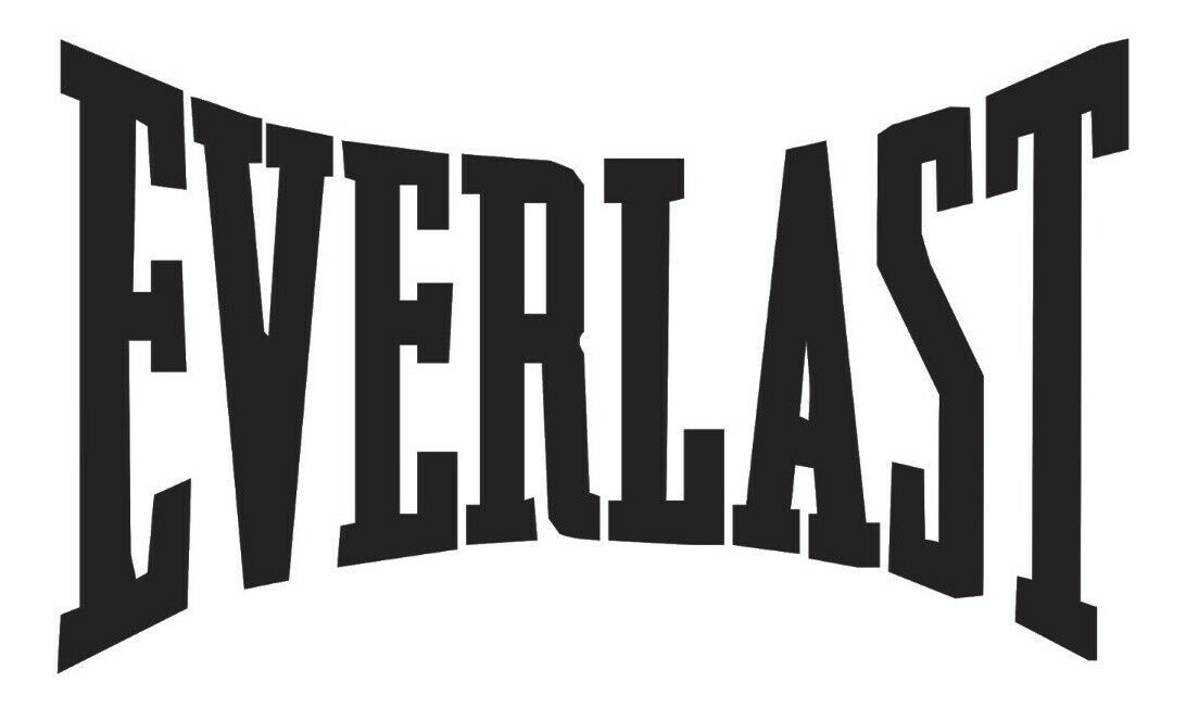 2x Everlast Logo Vinyl Decal Sticker Different colors & size for Cars/Bikes