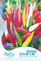 Allochroic Pod Pepper Seeds Pack 20 Seeds Pack Red White Green Purple Yellow Clu - £10.18 GBP