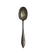 1847 Rogers Bros A1 Meridian Britannia Sugar Spoon Silver-plated 6&quot; Antique - $225.74 MXN