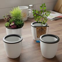 Self Watering Pots for Indoor Plants, 3-Pack 3.5&#39;&#39; Self Watering Planter... - $21.25 CAD