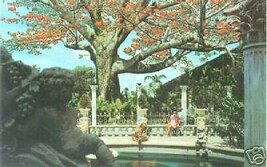 The Kapok Tree Inn-  Clearwater Florida Postcard - Unused - £7.95 GBP