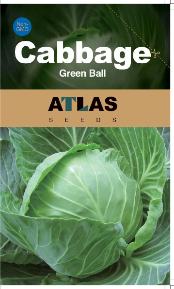 Cabbage -Green Ball - $11.04