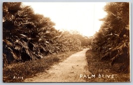 RPPC Dirt Street View Palm Drive California CA Blair Photo UNP Postcard K2 - £14.66 GBP