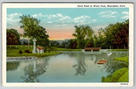 Muscatine Iowa Duck Pond in weed Park Postcard D30 - £7.95 GBP