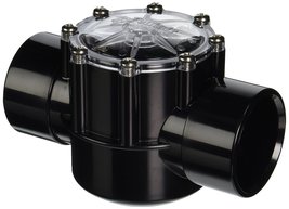 Pentair 263042 Check Valve CPVC for Pool Pumps, 2 Port Straight - $98.99
