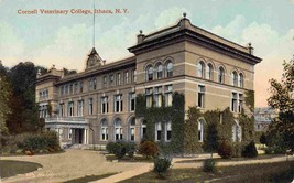 Veterinary College Cornell University Ithaca New York 1910c postcard - £5.55 GBP