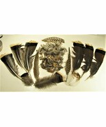 Turkey Pheasant Chukar Partridge Feathers Fly Tying Native American Earr... - $8.16 CAD